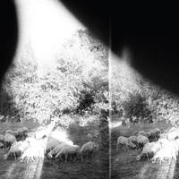 Godspeed You! Black Emperor — ‘Asunder, Sweet and Other Distress’